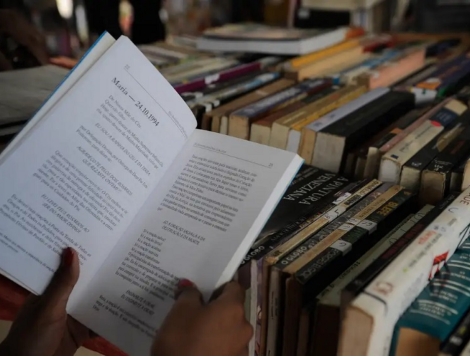 Fundação Catarinense de Cultura abre inscrições para edital de aquisição de livros 2025