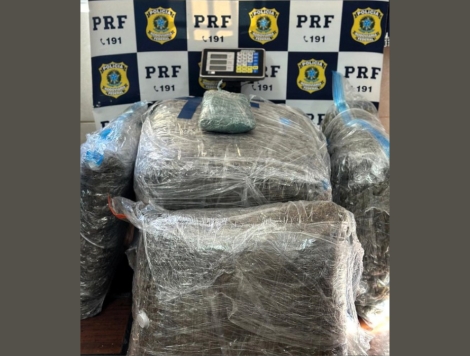 Perseguição na BR-101 termina com 40 quilos de skunk apreendidos em Palhoça